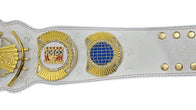 WWE Cody Rhodes American Nightmare Championship Title Belt - 3 | Dash Racegear