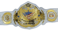 WWE Cody Rhodes American Nightmare Championship Title Belt - 4 | Dash Racegear
