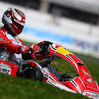 -273 x AYRTON SENNA Red - Glove | DASH RACEGEAR