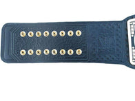 Custom Wrestling Championship Heavyweight Inspired Title Belt - 2 | Dash Racegear