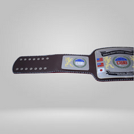 CWA World Heavyweight Continental Wrestling Championship Belt - image 2 | DASH RACEGEAR
