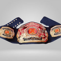 DE LUMBER GOLD Wrestling Championship BELT - image 2 | DASH RACEGEAR