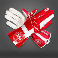 DEN - Glove | DASH RACEGEAR