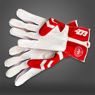 DEN - Glove | DASH RACEGEAR