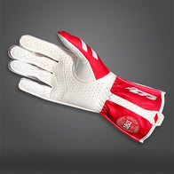 DEN - Glove | DASH RACEGEAR