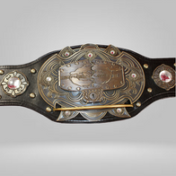 Dragon Gate Pro Wrestling Belt - image 1 | DASH RACEGEAR