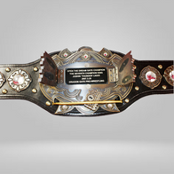 Dragon Gate Pro Wrestling Belt - image 2 | DASH RACEGEAR