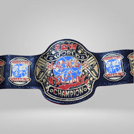 ECW Heavyweight Wrestling Championship Replica Title Belt - image 1 | DASH RACEGEAR