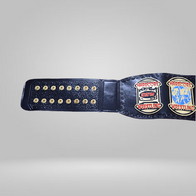 ECW Heavyweight Wrestling Championship Replica Title Belt - image 2 | DASH RACEGEAR