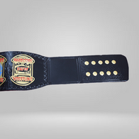 ECW Heavyweight Wrestling Championship Replica Title Belt - image 3 | DASH RACEGEAR