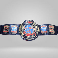 ECW Heavyweight Wrestling Championship Replica Title Belt - image 4 | DASH RACEGEAR
