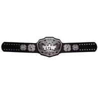 ECW Heavyweight Wrestling Championship Title Belt Inspired - 5 | Dash Racegear