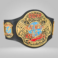 ECW World Heavyweight Championship Replica Title - image 2 | DASH RACEGEAR