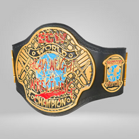 ECW World Heavyweight Championship Replica Title - image 3 | DASH RACEGEAR