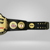 ECW WORLD TELEVISION WRESTLING CHAMPIONSHIP BELT REPLICA - image 2 | DASH RACEGEAR