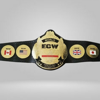 ECW WORLD TELEVISION WRESTLING CHAMPIONSHIP BELT REPLICA - image 3 | DASH RACEGEAR