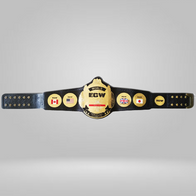 ECW World Wrestling Championship Replica Title Belt - image 1 | DASH RACEGEAR