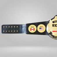 ECW World Wrestling Championship Replica Title Belt - image 2 | DASH RACEGEAR