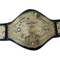 NWA Americas Heavyweight Wrestling Champion Belt - 3 | Dash Racegear