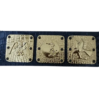 NWA Americas Heavyweight Wrestling Champion Belt - 1 | Dash Racegear