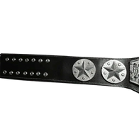NWA Mid-Atlantic Eastern Heavyweight Wrestling Champion Belt - 2 | Dash Racegear