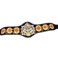 NWA International Heavyweight Wrestling Champion Belt - 1 | Dash Racegear
