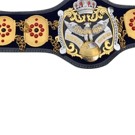NWA International Heavyweight Wrestling Champion Belt - 2 | Dash Racegear