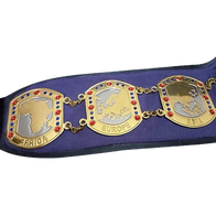 NWA International Tag Team Wrestling Championship Inspired Belt - 2 | Dash Racegear
