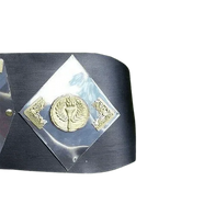 NWA World Tag Team Championship Belt Detroit version Blackjacks - 2 | Dash Racegear