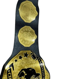 New Fantasy Football Championship Title Belt - 6 | Dash Racegear