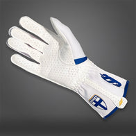 FIN - Glove | DASH RACEGEAR