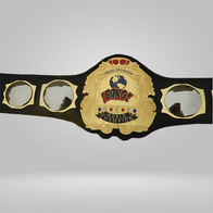 Funking Conservatory Bang Heavyweight Championship Belt Dory Funk Jr’s wrestling - image 1 | DASH RACEGEAR