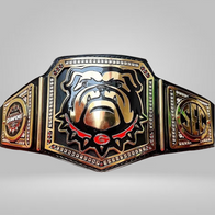 GEORGIA BULLDOG NATIONAL CUSTOMIZED CHAMPIONSHIP TITLE BELT REPLICA 4 - image 1 | DASH RACEGEAR
