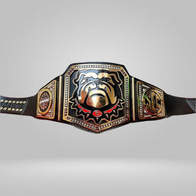 GEORGIA BULLDOG NATIONAL CUSTOMIZED CHAMPIONSHIP TITLE BELT REPLICA 4 - image 2 | DASH RACEGEAR