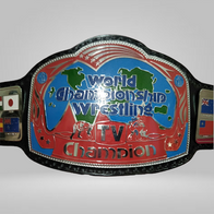 Georgia Television Championship Replica Belt - image 1 | DASH RACEGEAR