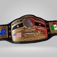 GLOBE STYLE BELT IN GOLD with BUTTONS - image 1 | DASH RACEGEAR