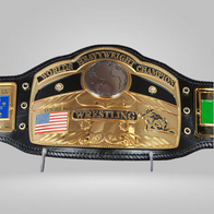 GLOBE STYLE BELT IN GOLD with BUTTONS - image 2 | DASH RACEGEAR