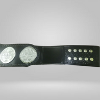 IWGP JR TAG TEAM Championship Belt - image 3 | DASH RACEGEAR
