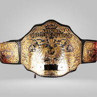 JCW Awesome Wrestling Championship Belt - image 1 | DASH RACEGEAR