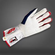JPN - Glove | DASH RACEGEAR