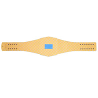 Los Angeles Chargers WWE Legacy Title Belt - 6 | Dash Racegear