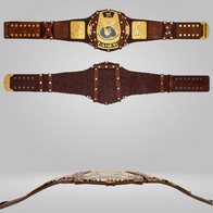 MANKIND SIGNATURE SERIES CHAMPIONSHIP REPLICA TITLE - image 3 | DASH RACEGEAR