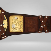 MANKIND SIGNATURE SERIES CHAMPIONSHIP REPLICA TITLE - image 4 | DASH RACEGEAR