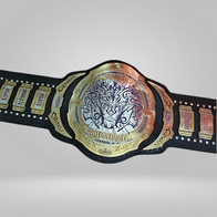 Matt and Jeff Hardy Broken Tag Team Wrestling Championship Belts - image 1 | DASH RACEGEAR