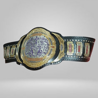 Matt and Jeff Hardy Broken Tag Team Wrestling Championship Belts - image 2 | DASH RACEGEAR