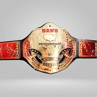 NAWO Heavyweight Title Wrestling Champion belt - image 1 | DASH RACEGEAR