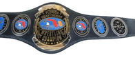 New Florida Heavyweight Wrestling Champion Title Belt - 1 | Dash Racegear