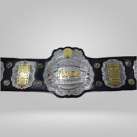 New IWGP JR Wrestling Championship Belt - image 2 | DASH RACEGEAR