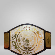 NEW Replica WWF Junior Wrestling Championship Belt - image 1 | DASH RACEGEAR