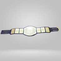 NEW Replica WWF Junior Wrestling Championship Belt - image 2 | DASH RACEGEAR